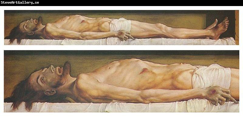 Hans holbein the younger The Body of the Dead Christ in the Tomb and a detail